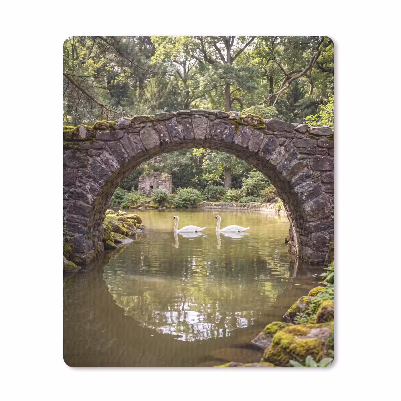 Muismat - Vogel - Water - Natuur — 1
