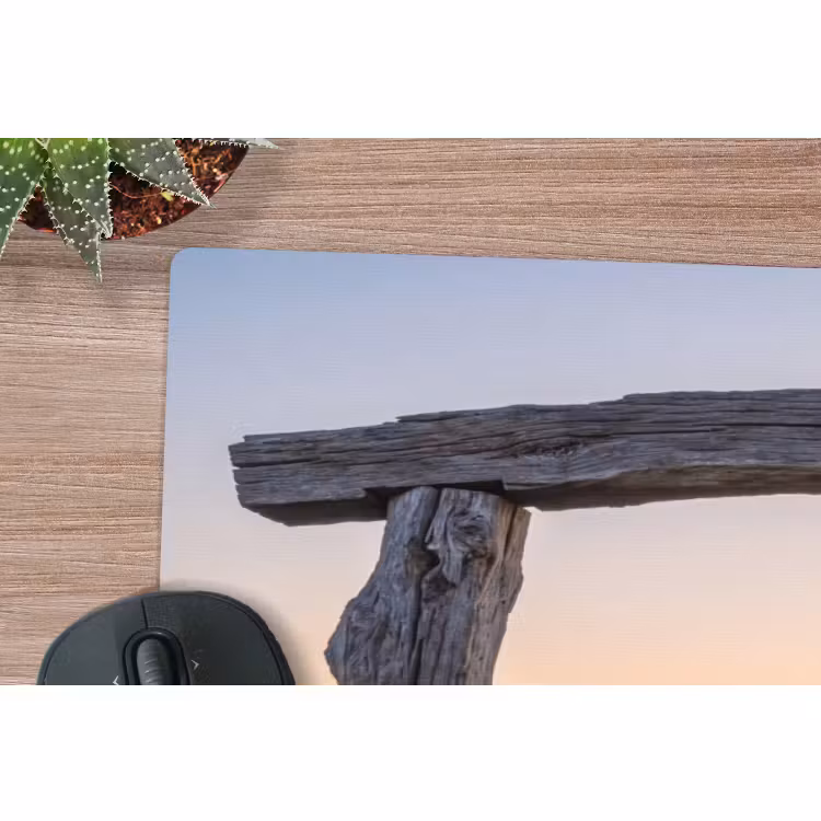 Muismat - Poort - Bloemen - Natuur — 5