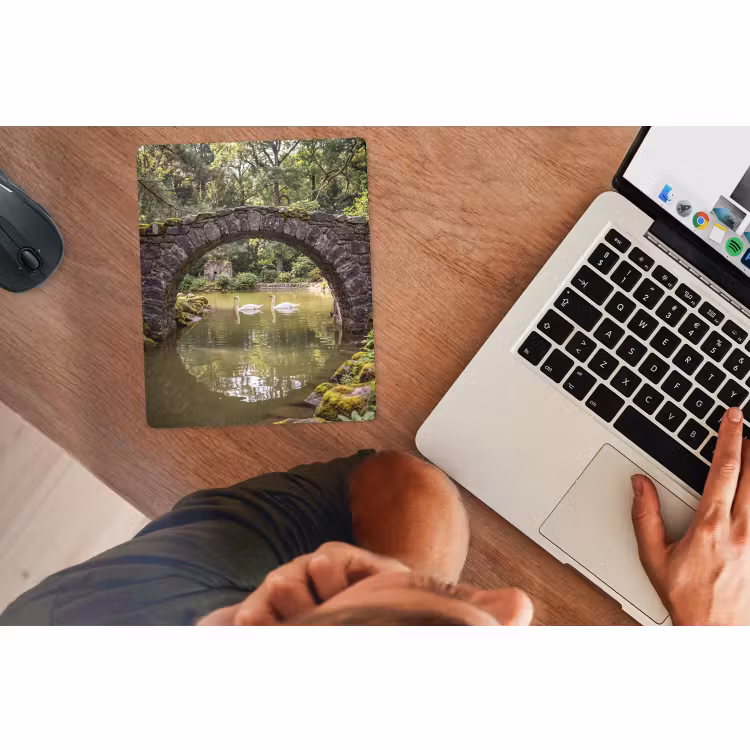 Muismat - Vogel - Water - Natuur — 2