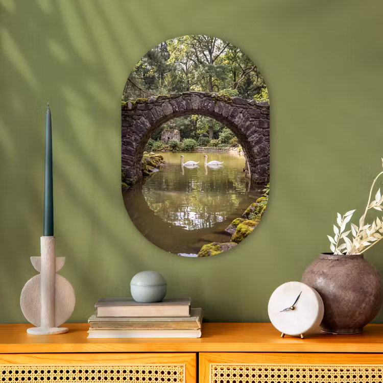 Muurovaal - Vogel - Water - Natuur — 2