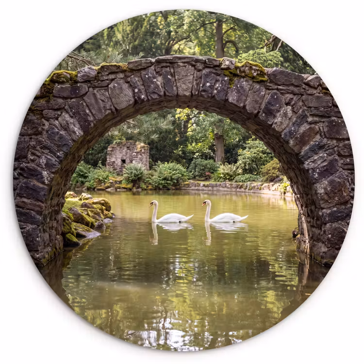 Muurcirkel - Vogel - Water - Natuur — 1