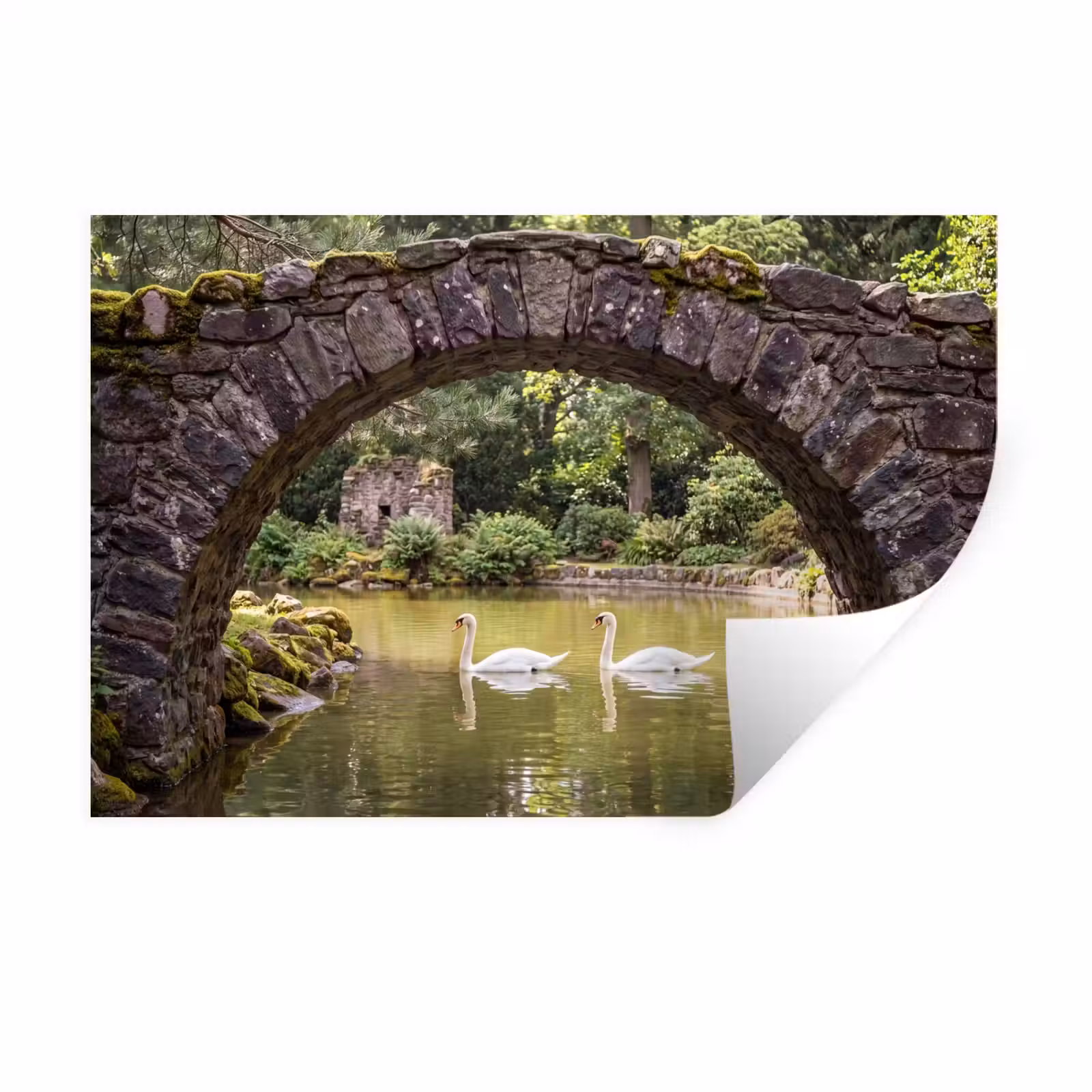 Muursticker - Vogel - Water - Natuur — 1
