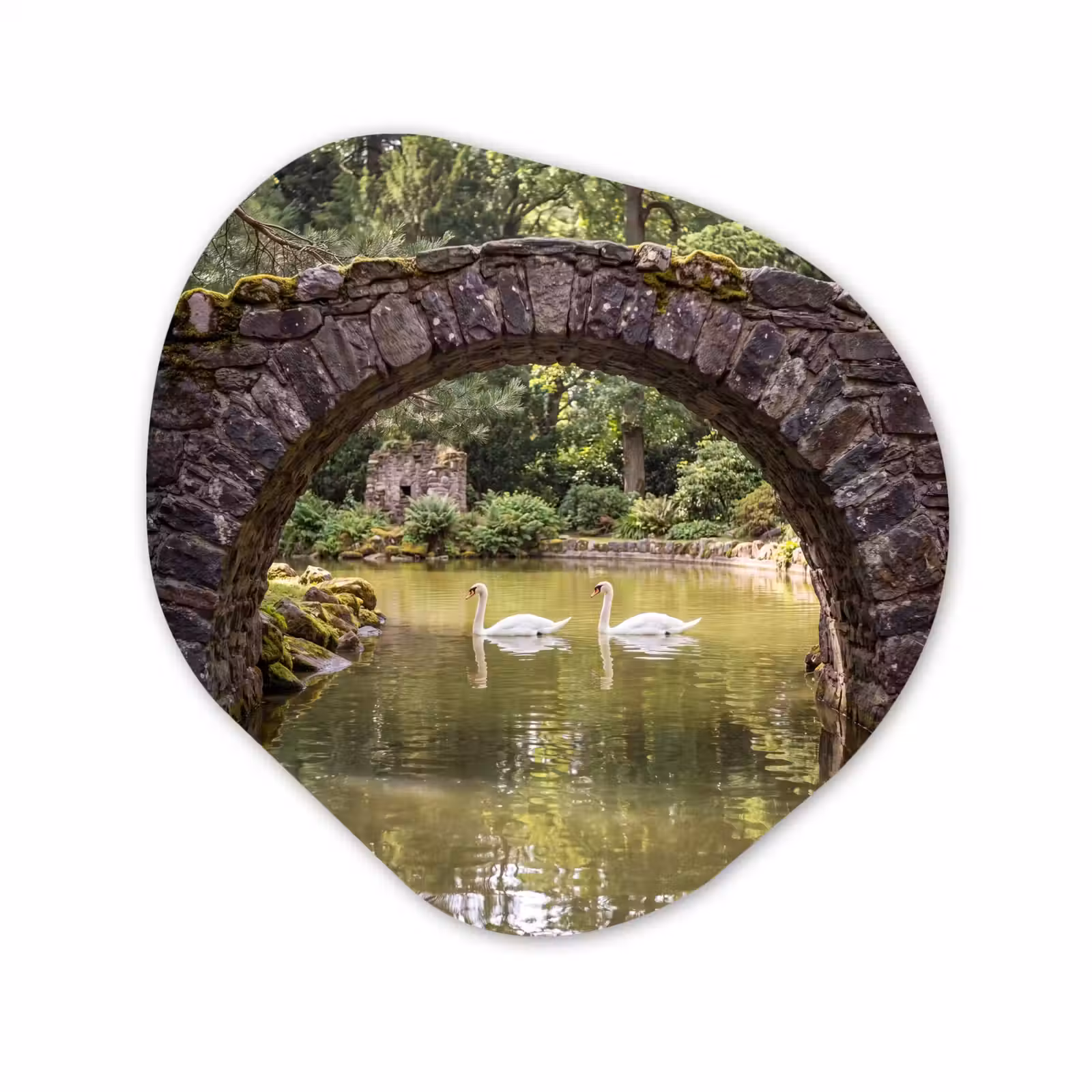Organisch schilderij forex - Vogel - Water - Natuur — 1
