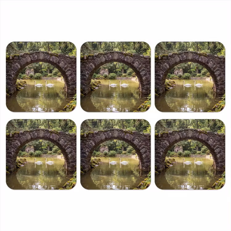 Onderzetter - Vogel - Water - Natuur — 1