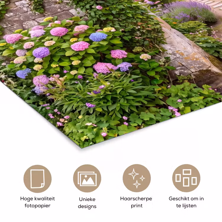 Poster - Tuin - Bloemen - Pad — 5