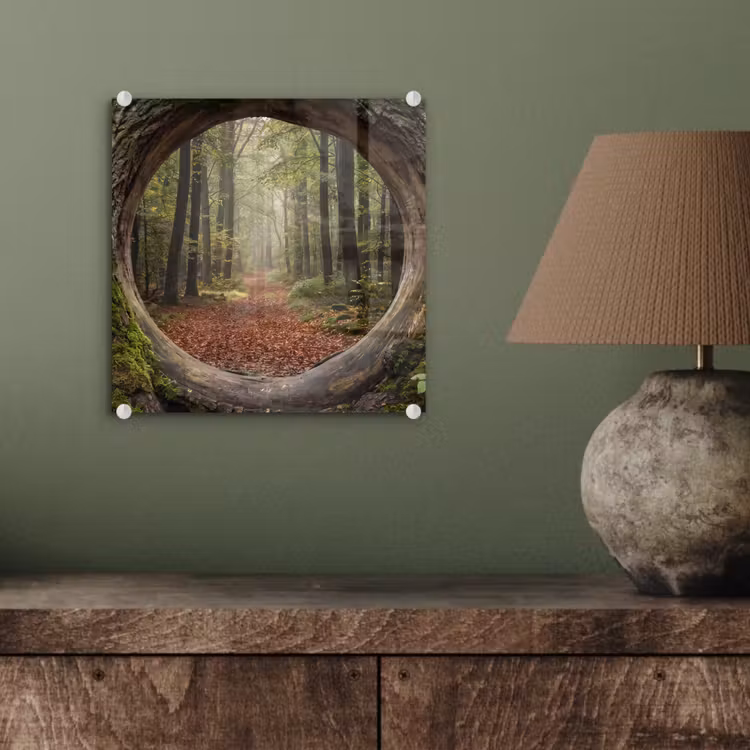 Glas schilderij - Boom - Bos - Natuur — 4