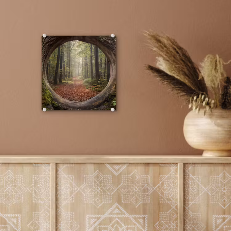 Glas schilderij - Boom - Bos - Natuur — 6