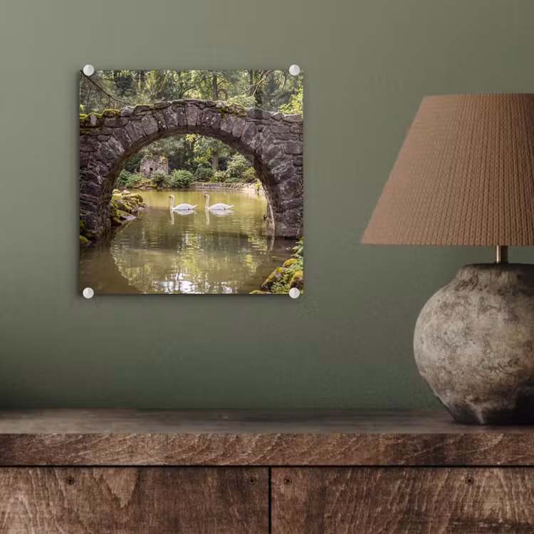 Glas schilderij - Vogel - Water - Natuur — 4