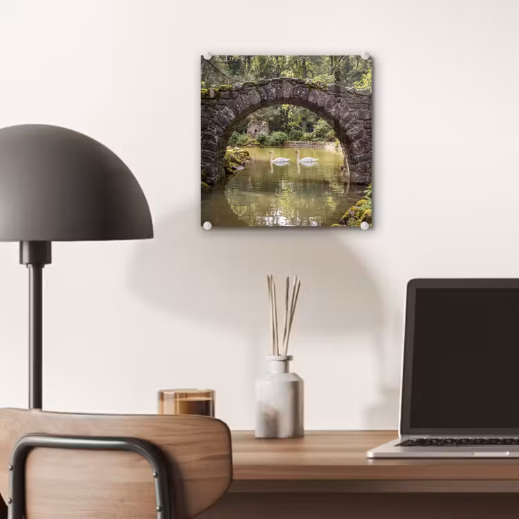 Glas schilderij - Vogel - Water - Natuur — 7