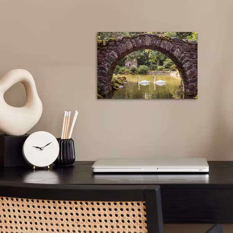 Poster - Vogel - Water - Natuur — 2