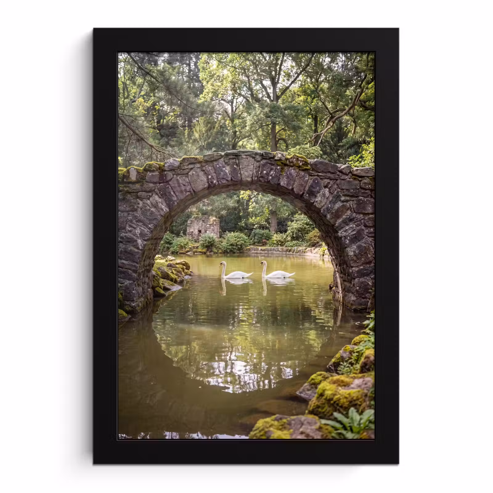 Poster met lijst - Vogel - Water - Natuur — 1
