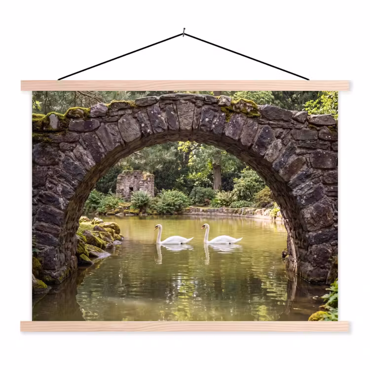 Schoolplaat - Vogel - Water - Natuur — 1