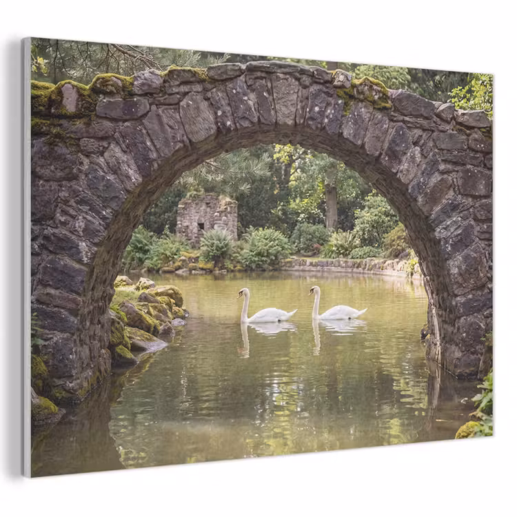 Akoestisch schilderij - Vogel - Water - Natuur — 1