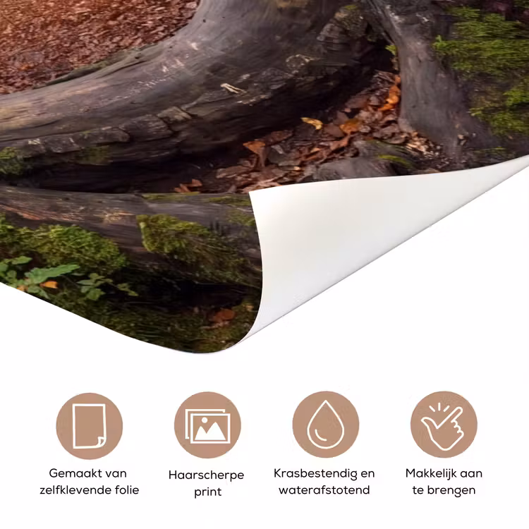 Deursticker - Boom - Bos - Natuur — 3