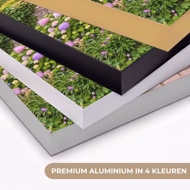 Art frame - Tuin - Bloemen - Pad — 2