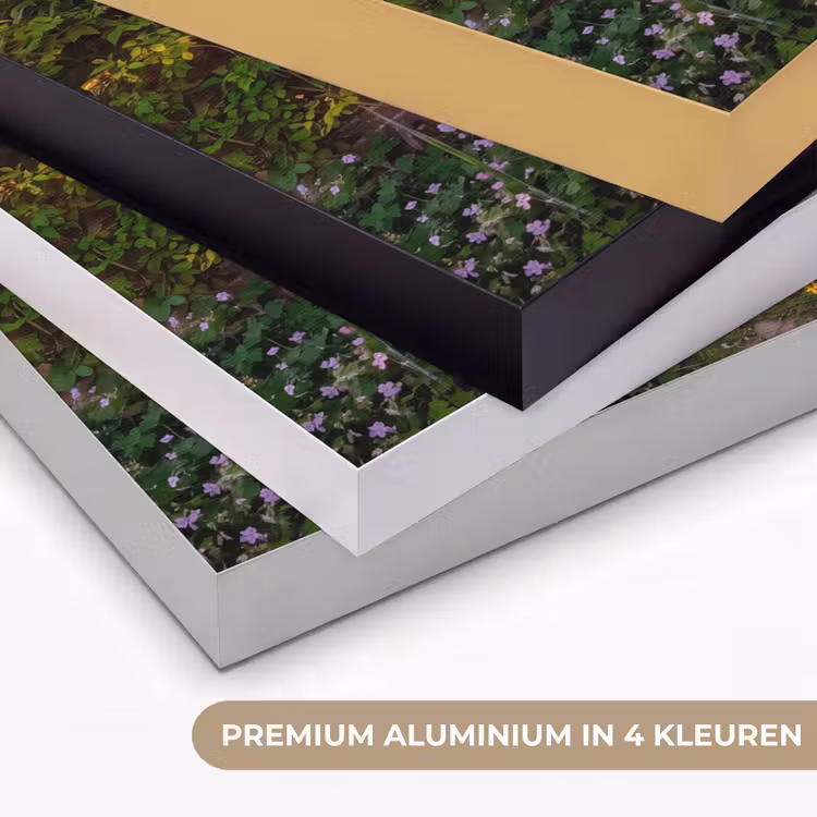 Art frame - Deur - Tuin - Natuur — 2