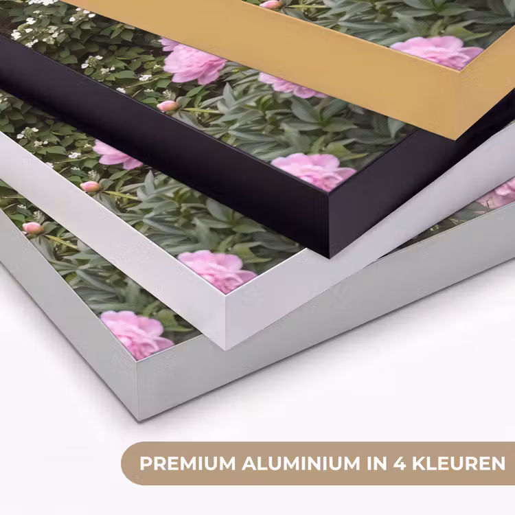 Art frame - Spiegel - Tuin - Bloemen — 2