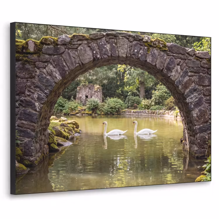 Art frame - Vogel - Water - Natuur — 1