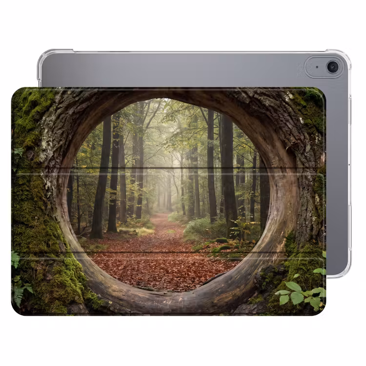 Boom - Bos - Natuur — 1