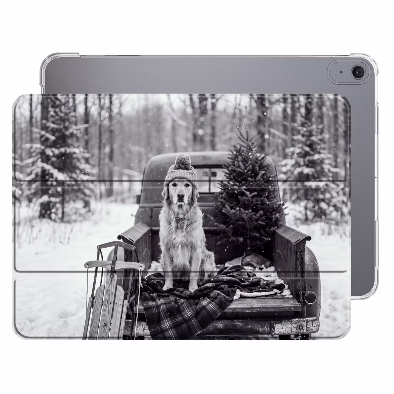 Hond - Muts - Winter — 1
