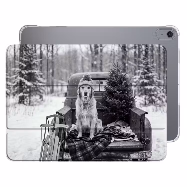 Hond - Muts - Winter — 1