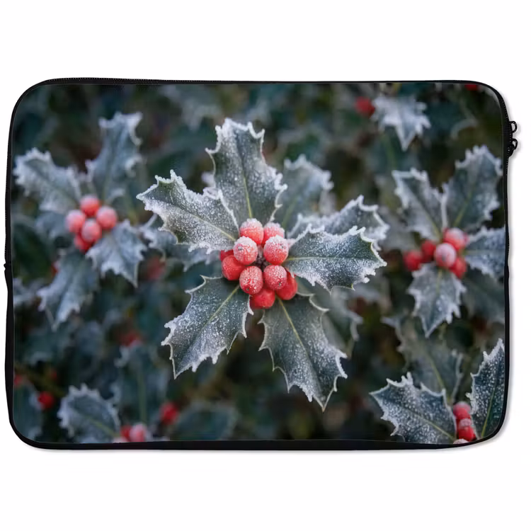Laptophoes Plant - Berijpte - Winter — 1