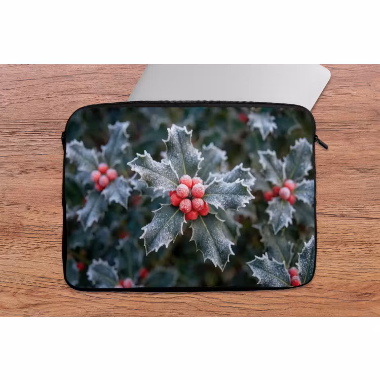 Laptophoes Plant - Berijpte - Winter — 2