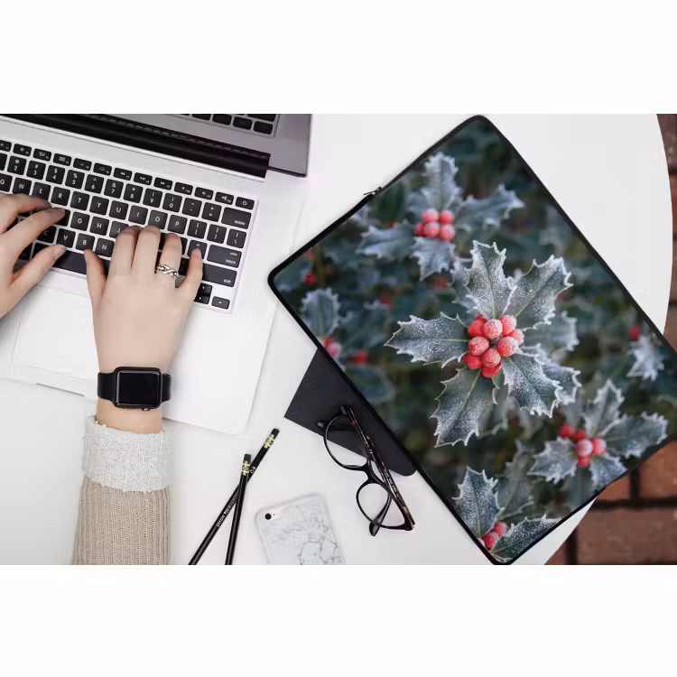 Laptophoes Plant - Berijpte - Winter — 3