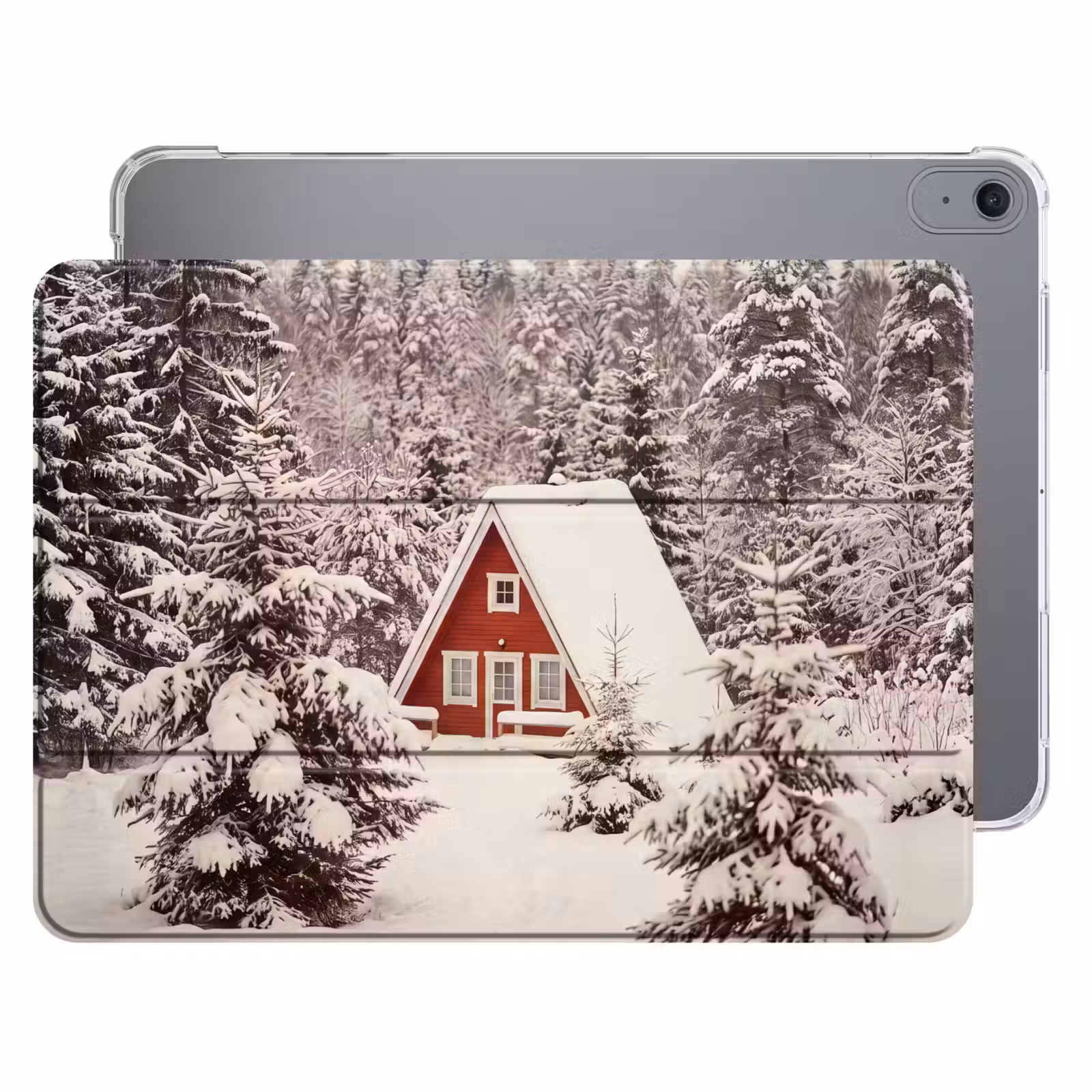 Huis - Winter - Sneeuw — 1
