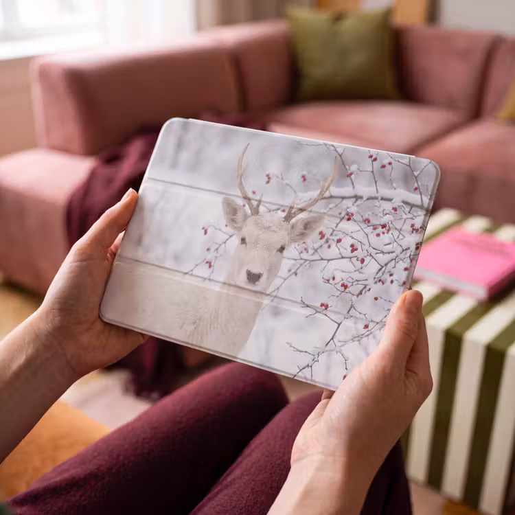 iPad hoes - Hert - Natuur - Sneeuw — 4