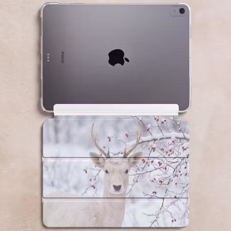 iPad hoes - Hert - Natuur - Sneeuw — 6