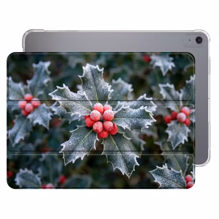 Plant - Berijpte - Winter — 1