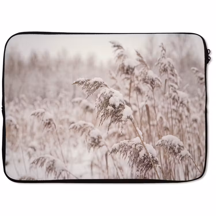 Laptophoes Riet - Sneeuw - Winter — 1