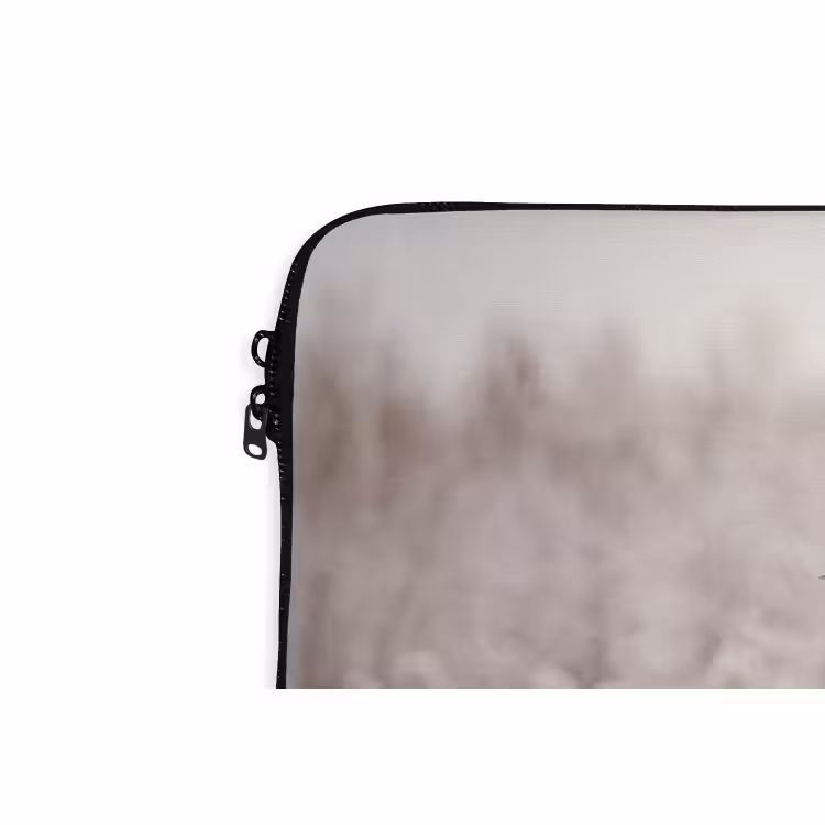 Laptophoes Riet - Sneeuw - Winter — 5