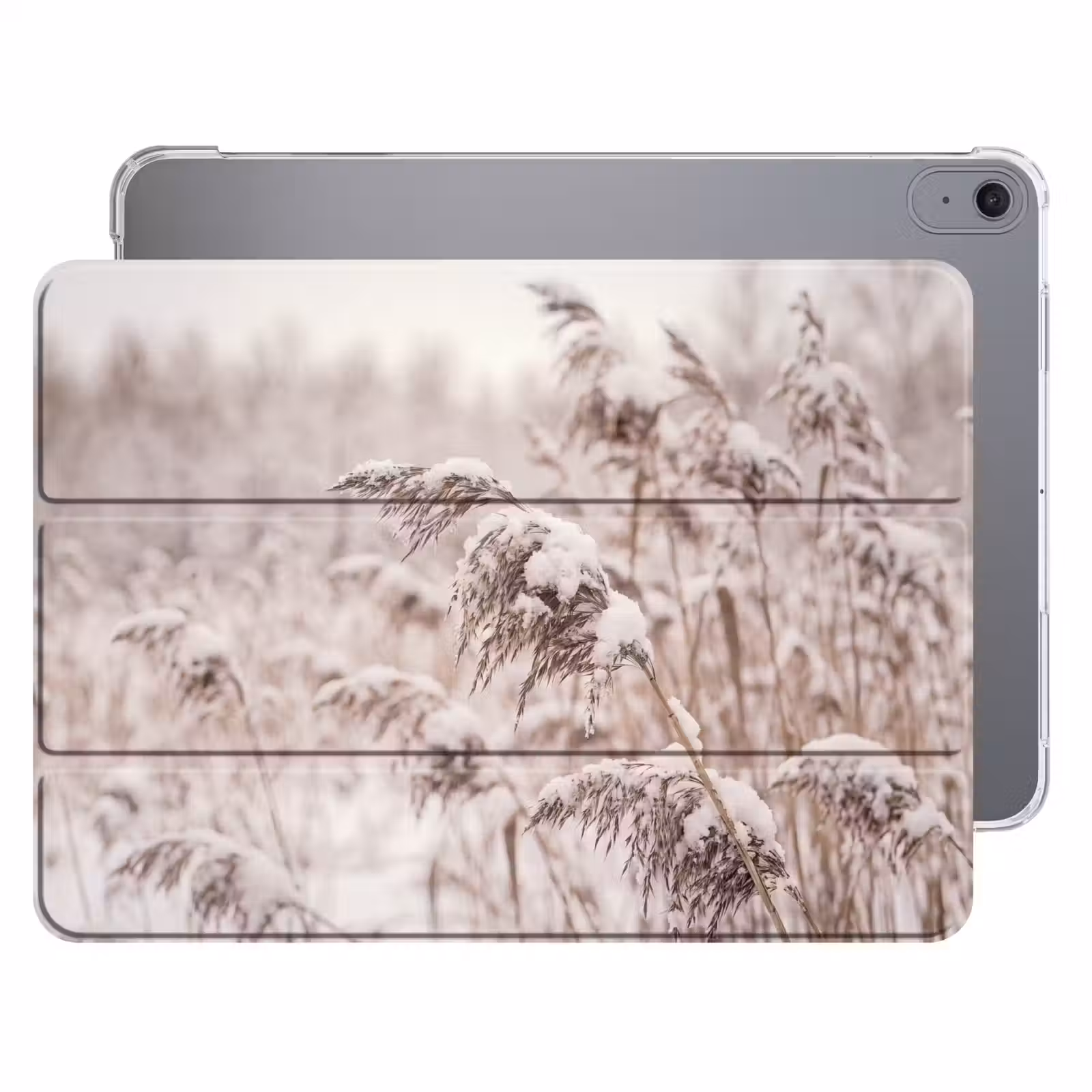 Riet - Sneeuw - Winter — 1