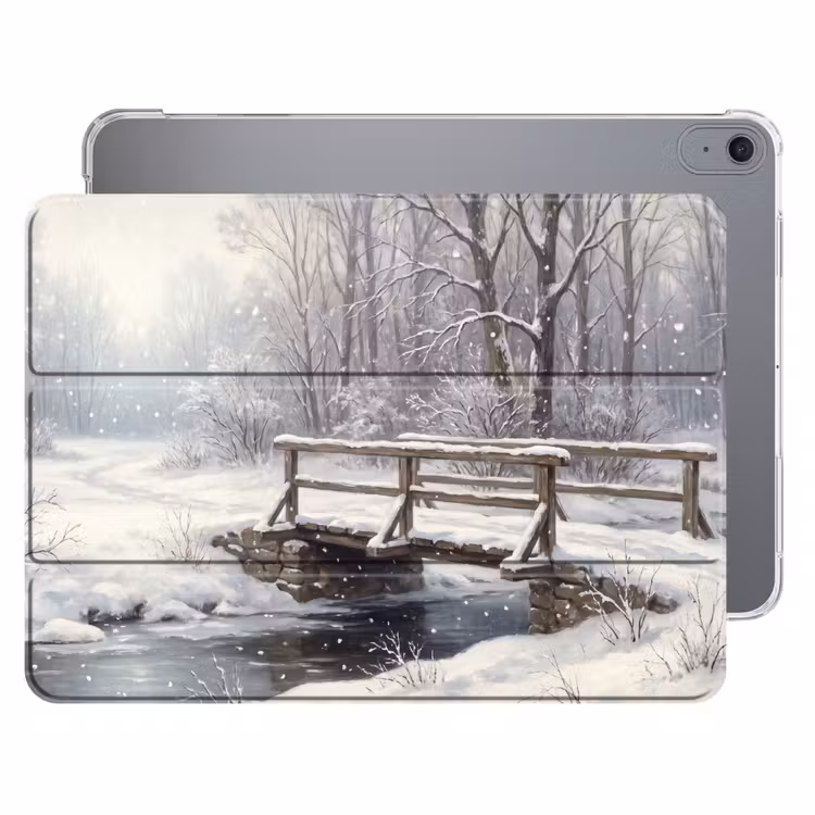 Landschap - Sneeuw - Winter — 1