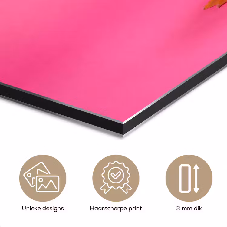 Aluminium schilderij - Vogel - Kerst - Roze — 7