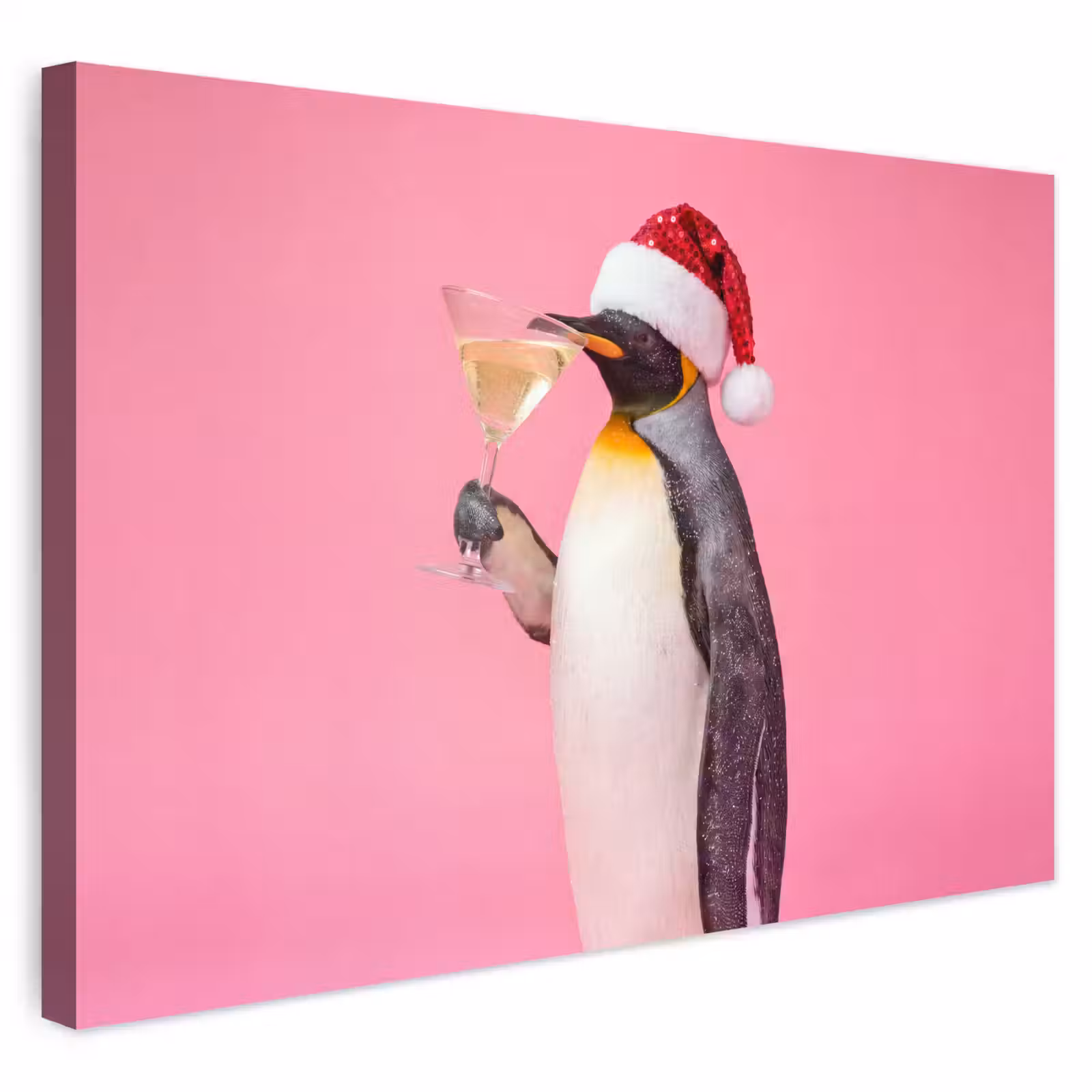 Buiten canvas - Pinguïn - Kerst - Feest — 1