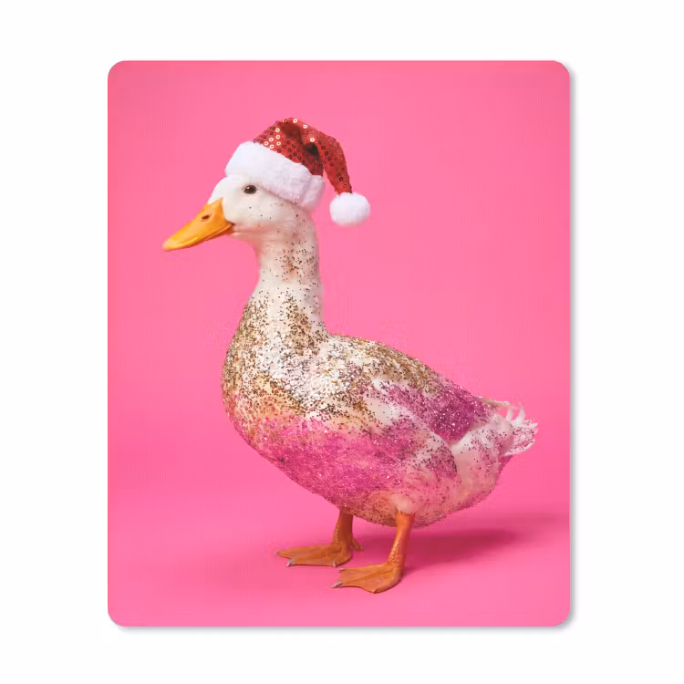 Muismat - Vogel - Kerst - Roze — 1