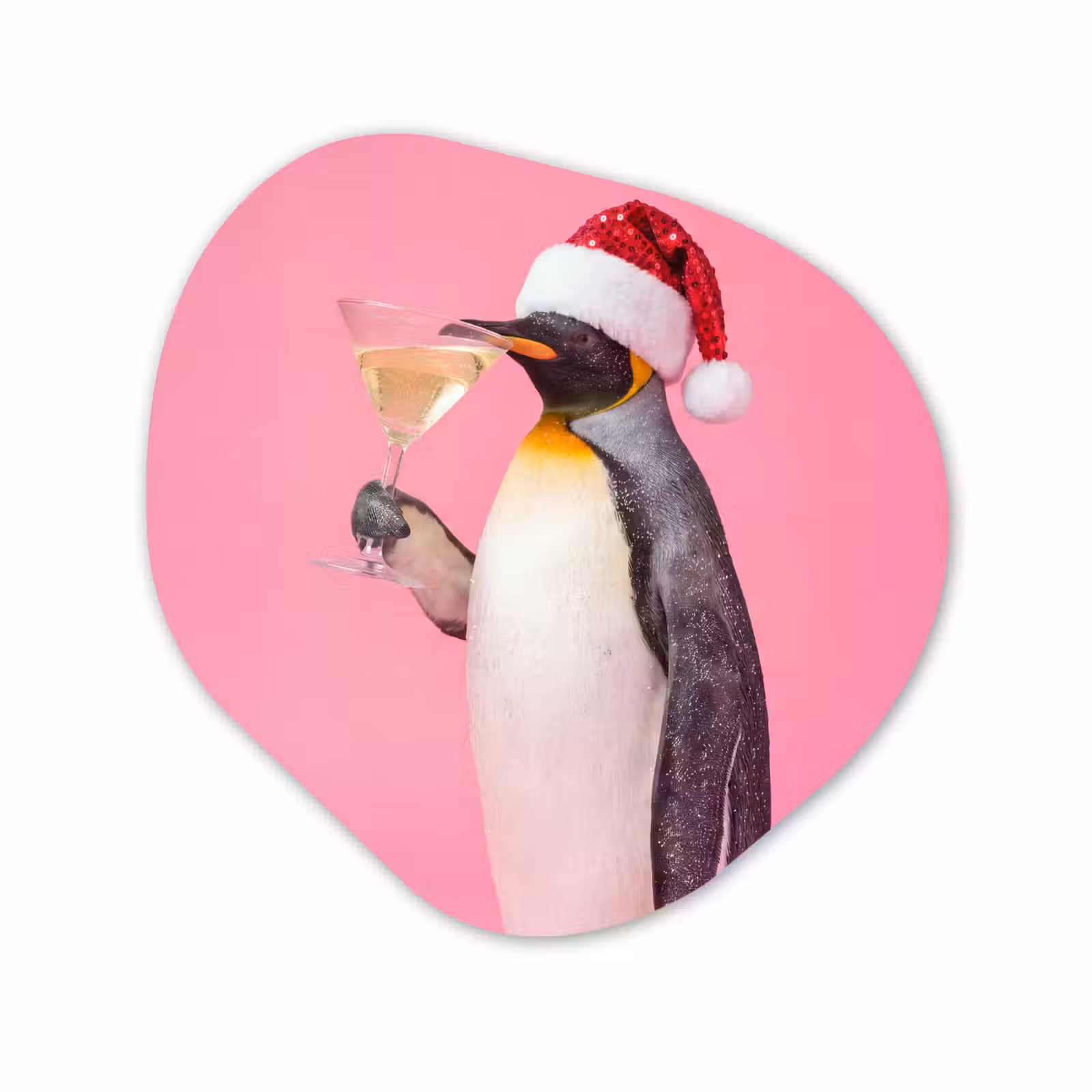 Organisch schilderij glas - Pinguïn - Kerst - Feest — 1