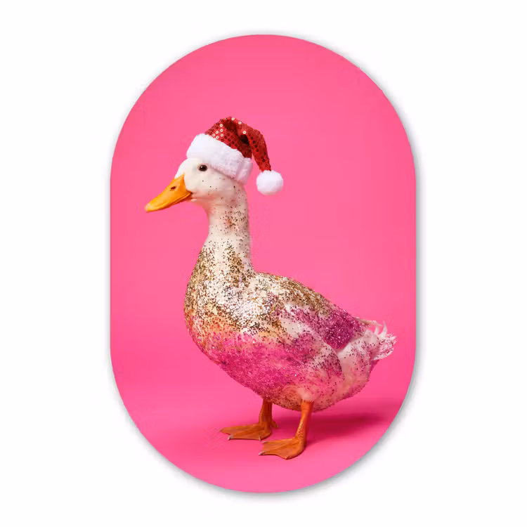 Muurovaal glas - Vogel - Kerst - Roze — 1