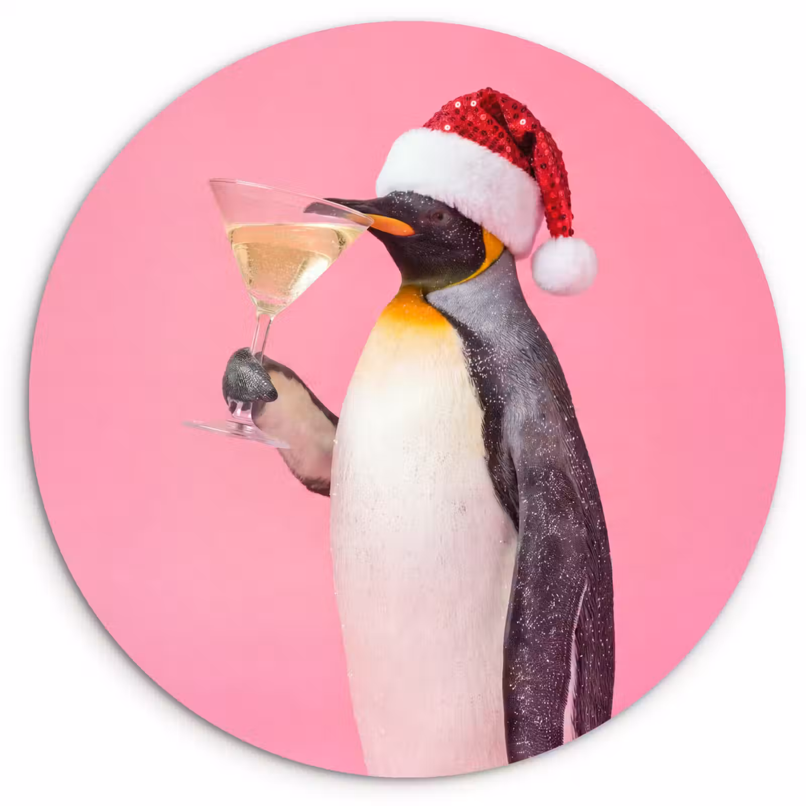 Muurcirkel glas - Pinguïn - Kerst - Feest — 1