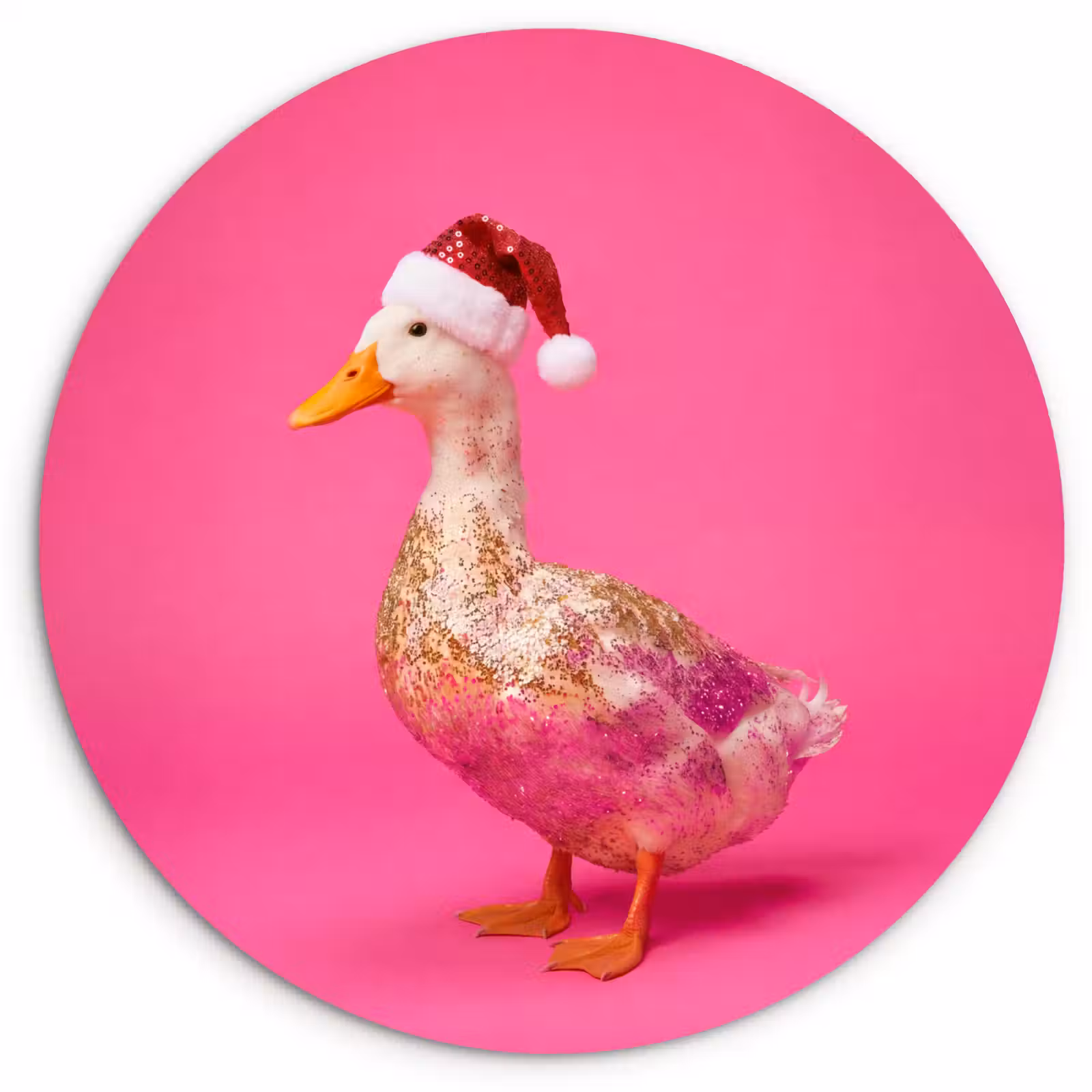 Muurcirkel glas - Vogel - Kerst - Roze — 1