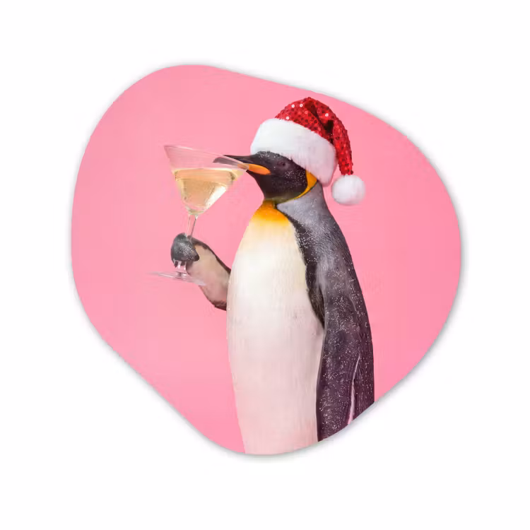 Organisch schilderij forex - Pinguïn - Kerst - Feest — 1