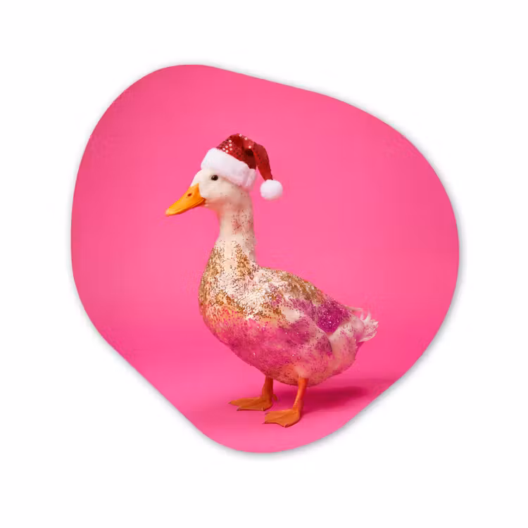 Organisch schilderij forex - Vogel - Kerst - Roze — 1