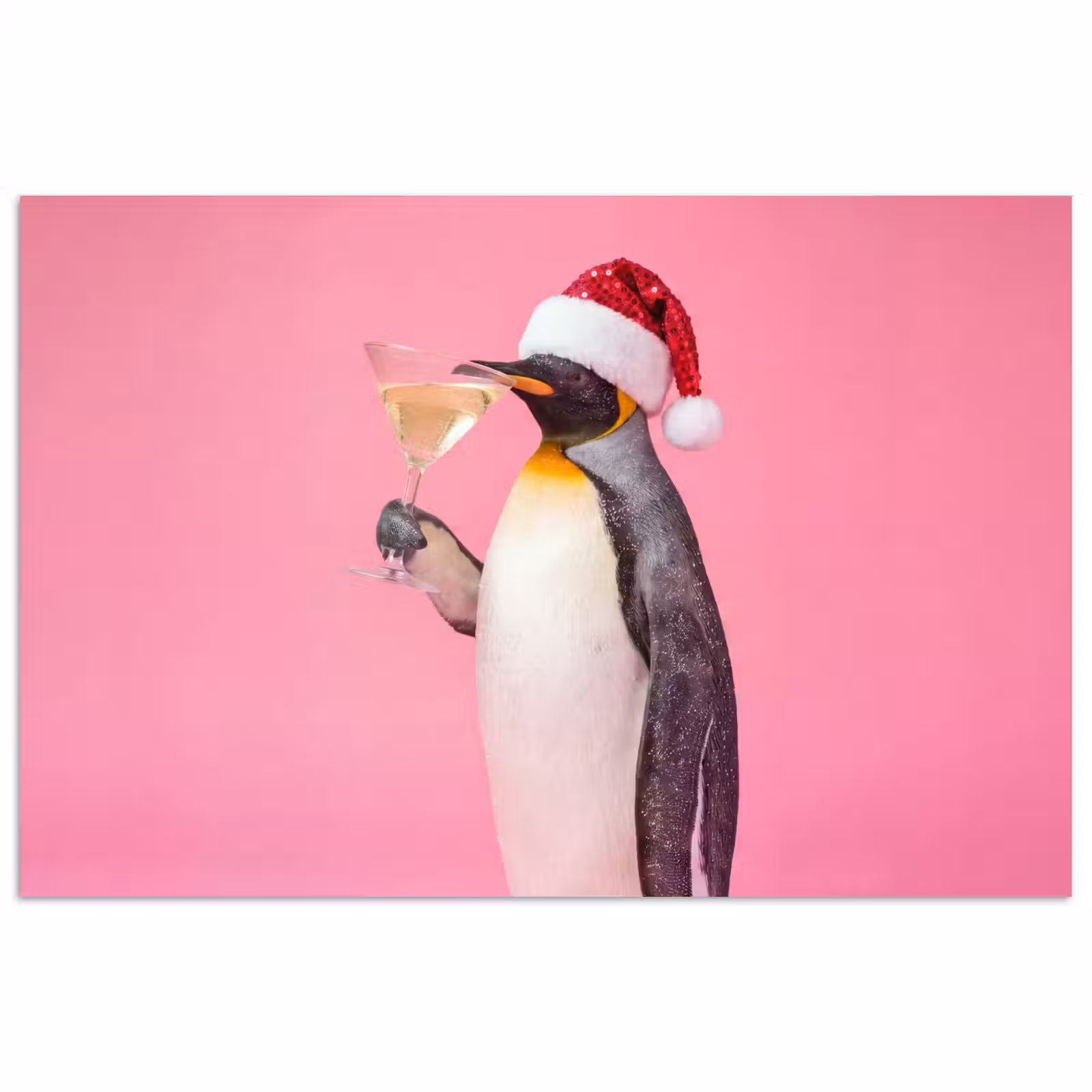 Poster - Pinguïn - Kerst - Feest — 1