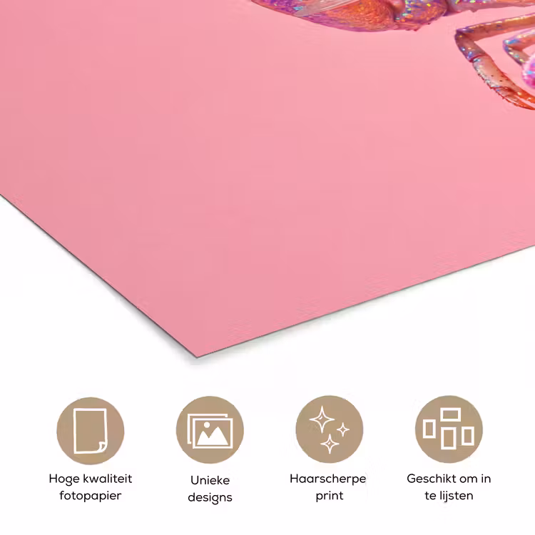 Poster - Kreeft - Kerst - Roze — 5