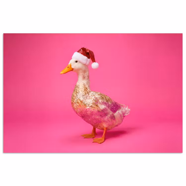 Poster - Vogel - Kerst - Roze — 1