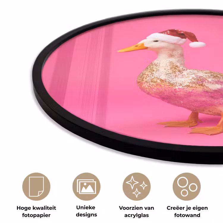 Ronde fotolijst - Vogel - Kerst - Roze — 2