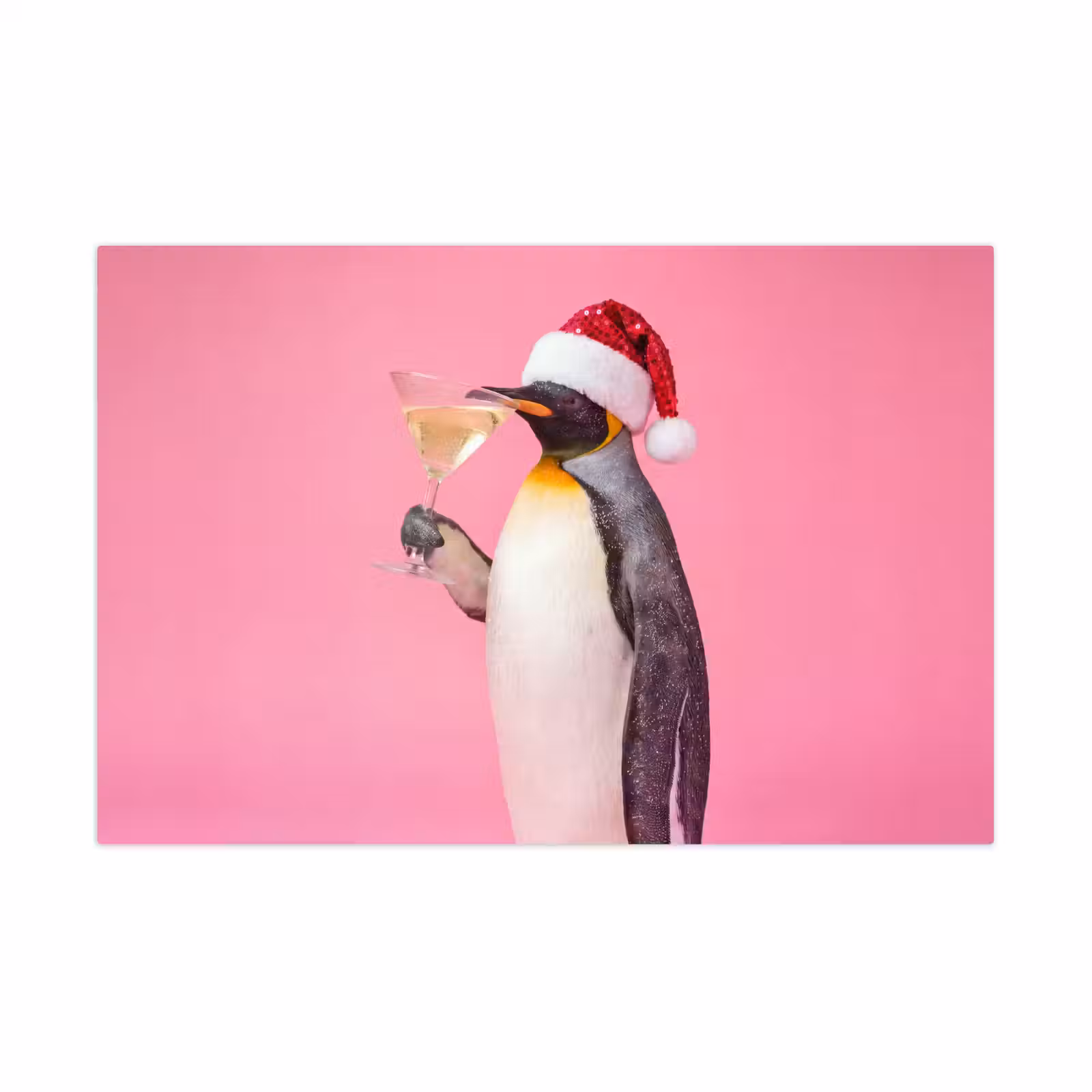 Speelkleed - Pinguïn - Kerst - Feest — 1